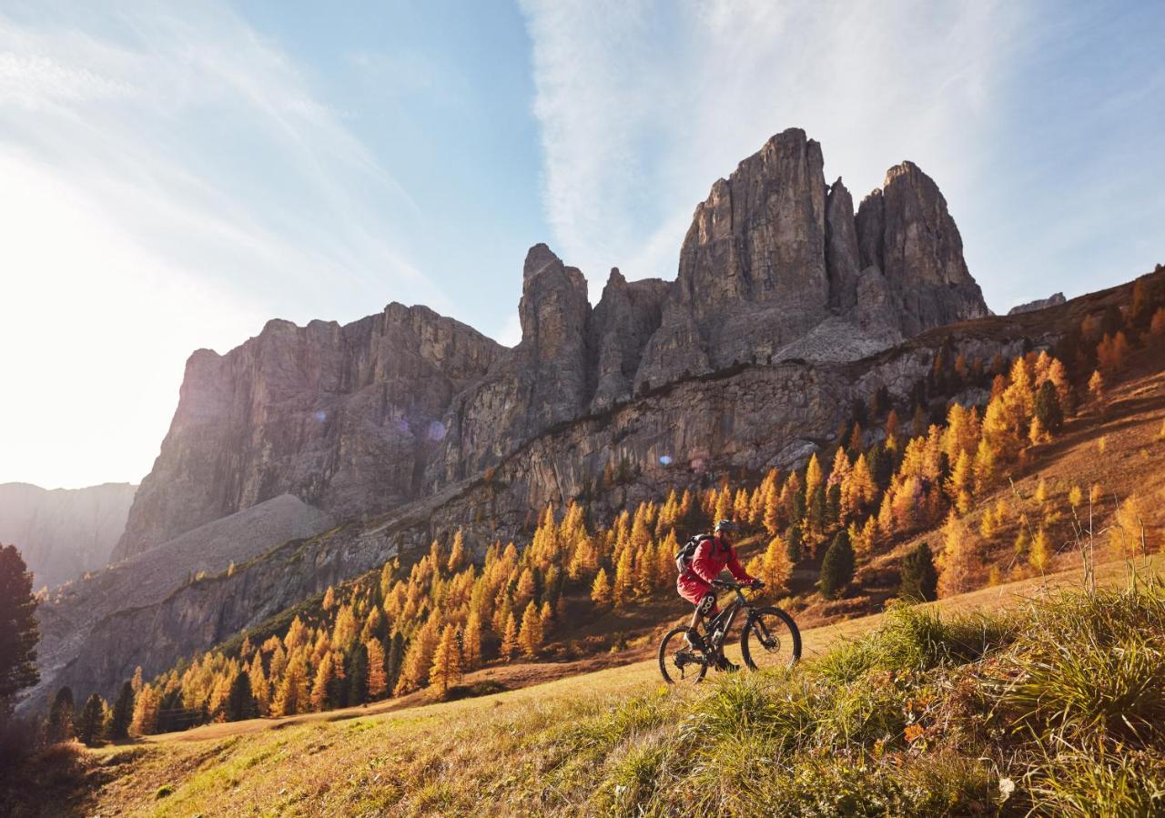 Chalet Elisabeth Dolomites Alpin & Charme Hotel Selva di Val Gardena Exterior photo