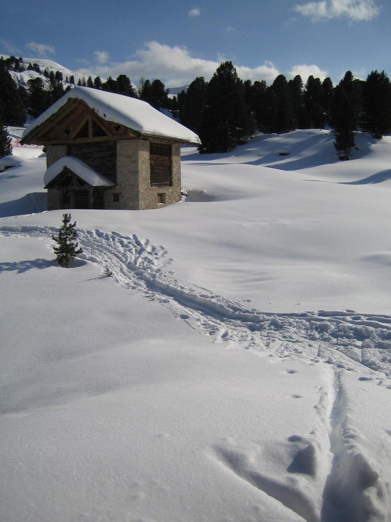 Chalet Elisabeth Dolomites Alpin & Charme Hotel Selva di Val Gardena Exterior photo