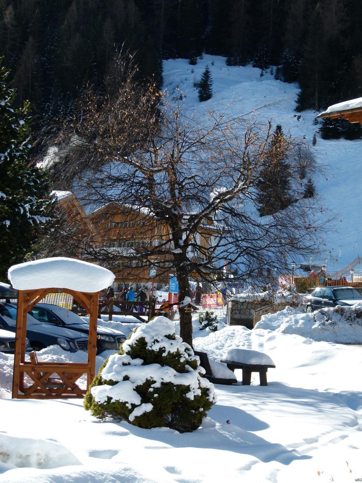 Chalet Elisabeth Dolomites Alpin & Charme Hotel Selva di Val Gardena Exterior photo